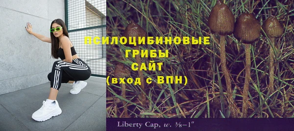 мет Белокуриха