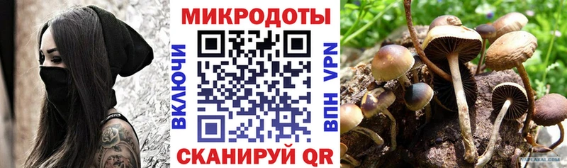 цена   Городец  Галлюциногенные грибы мицелий 